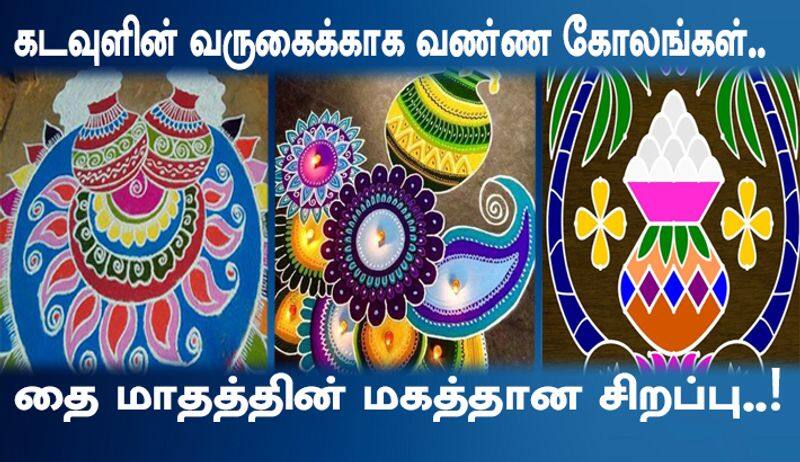 colorful rangoli in pongal festival video