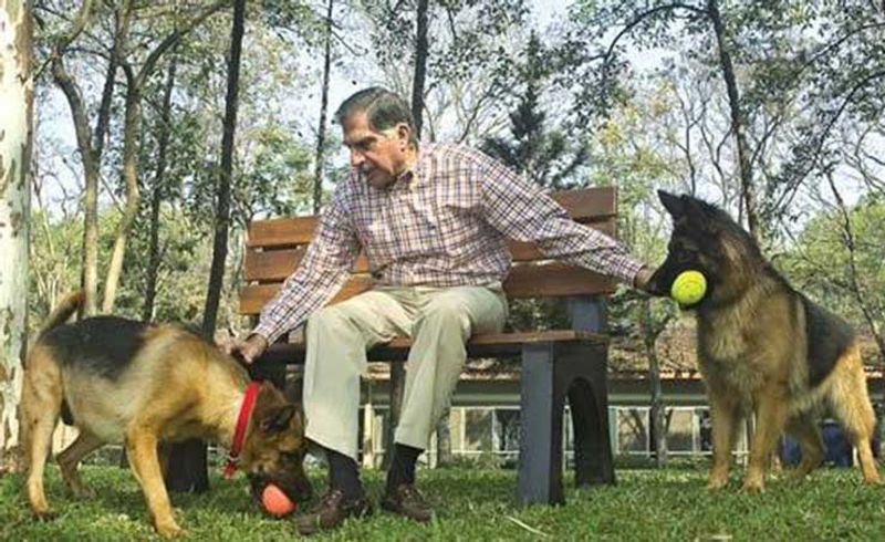 The Dog Who Sits In Ratan Tata's Office, Attends His Meetings