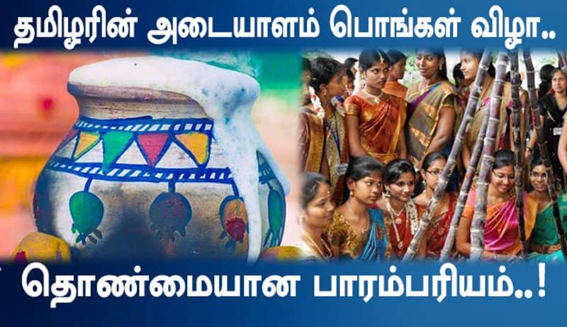 A tamil peoples traditional pongal festival video