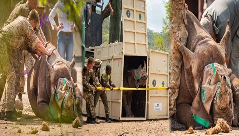 Counter-poaching troops help with historic Black Rhino move in Malawi