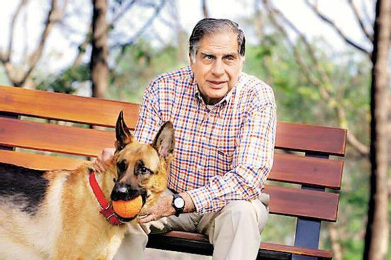 tata group chairman ratan tatas throwback photo creates instagram hit photo