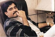 Extradition of Motiwala to the US will expose Pakistans cock and bull on Dawood further