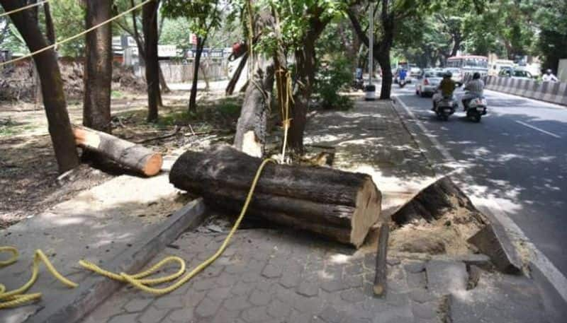 Trees Cut for Road Widening in Rabakavi Banahatti in Bagalkot District