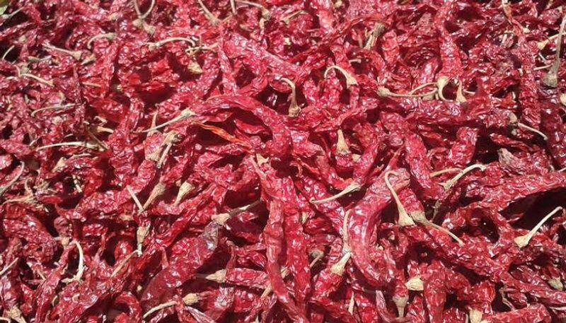 Chilli Theft in Ron in Gadag District