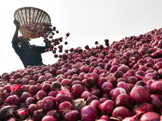 Salary of employees stopped after not able to sell onions
