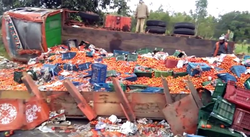 Lorry carrying Tomatoes falls down in kolar