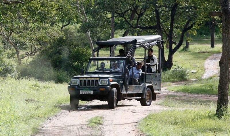 on new year day tourists at Bandipur Safari