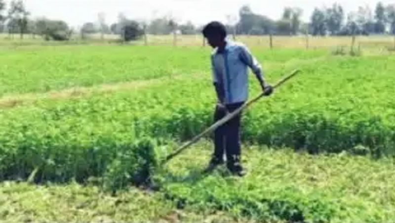 retired soldier introduces new Equipment for easy Harvesting