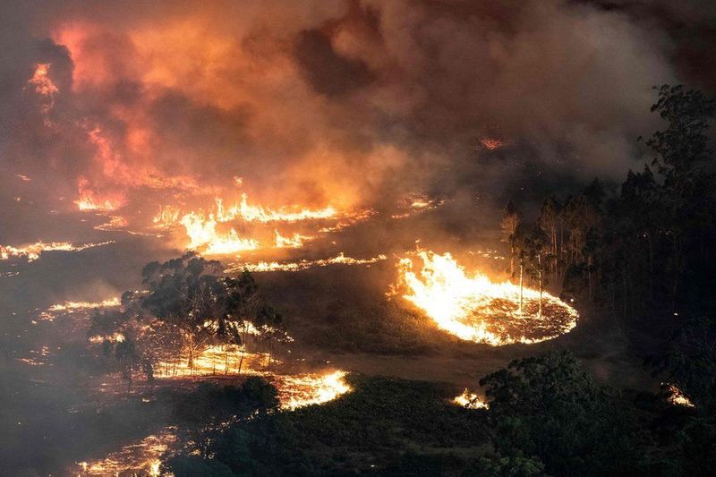 Fire to Kappataguda Forest in Gadag grg