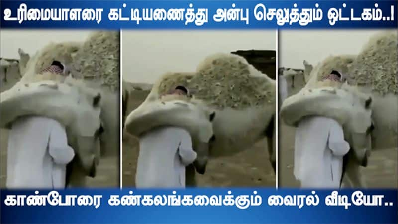 Camel Hugging its owner heartwarming video goes viral