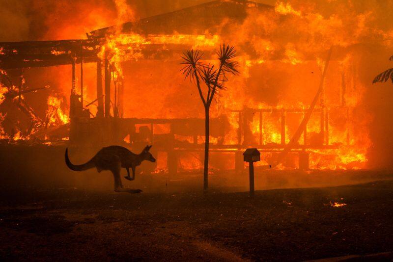 Australia bushfire crisis: As death toll climbs to 24, PM Scott Morrison sets up national recovery agency