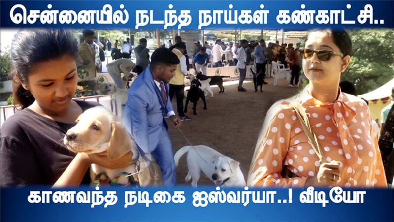 Chennai Nandanam Dog Show Actress Ishwarya came to watch video