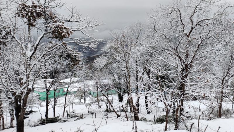 jammu and kashmir Indian army rescued civilians trapped in snowfall by 5 hours night walk ckm