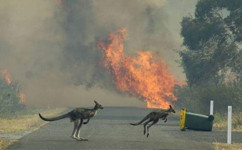 How Australia massive bushfires are generating thunderstorms