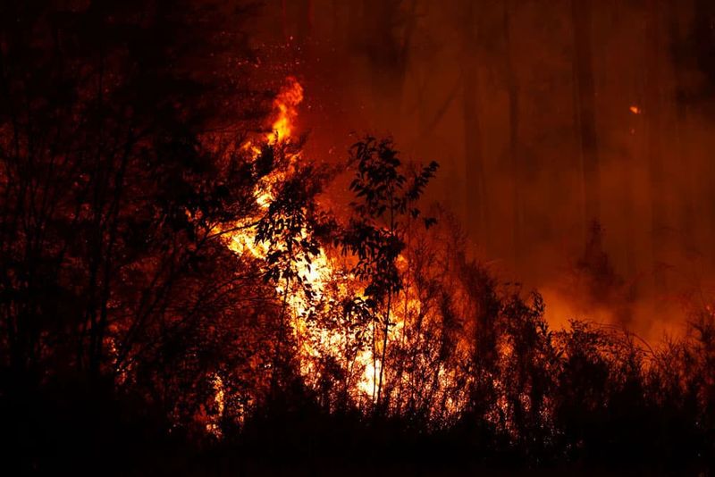 All you need to know about Australia wildfires