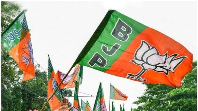 बीजेपी के दिग्गजों को पछाड़ सपा से आए इस नेता ने लिस्ट में पहले स्थान पर किया कब्जा, संघमित्रा रहीं दूसरे पर