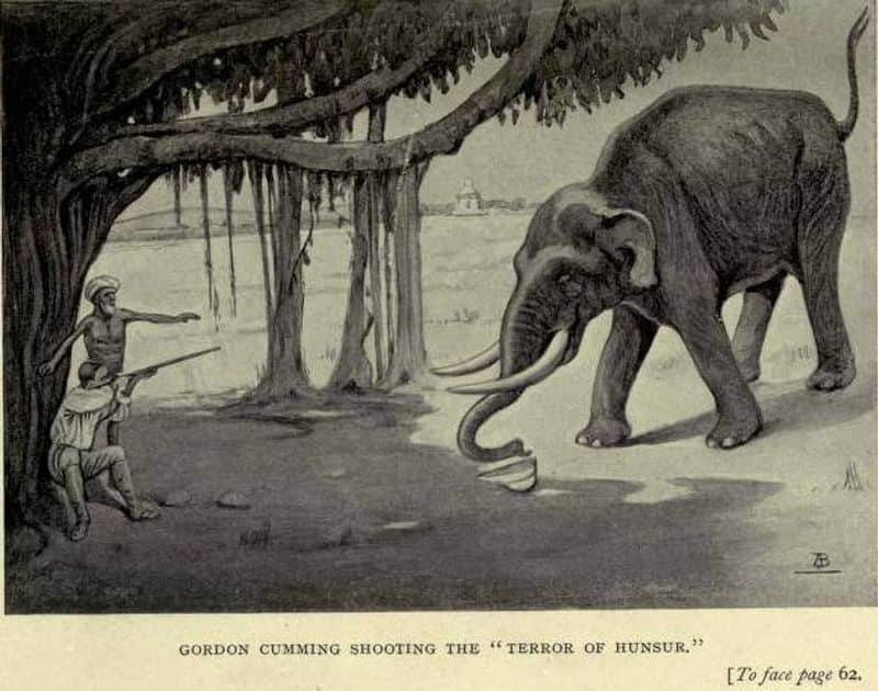 story of peer bux the notorious elephant and the hunter gordon cumming