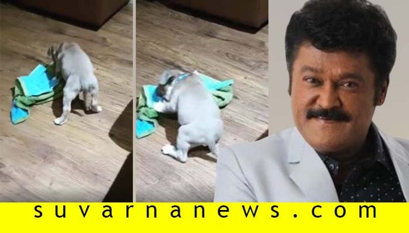 Kannada actor jaggesh adopts American Terrier dog on Vaikuntha Ekadashi