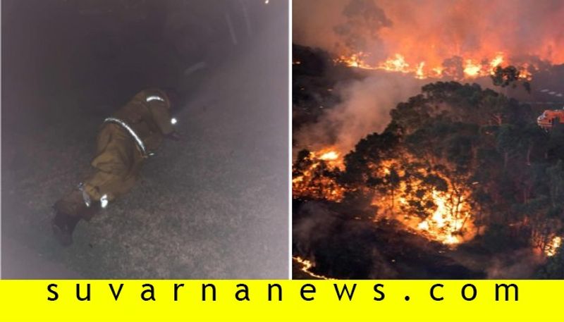 Daughter Shares Photo Of Firefighter Dad Sleeping On Lawn in between Fighting Australian Bushfires