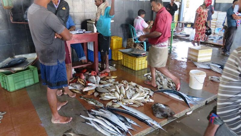 azhikkal fishing harbour temporarily closed