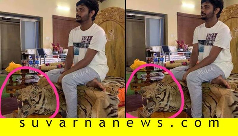 Vinay Guruji might face to legal trial as his photo viral with tiger pelt