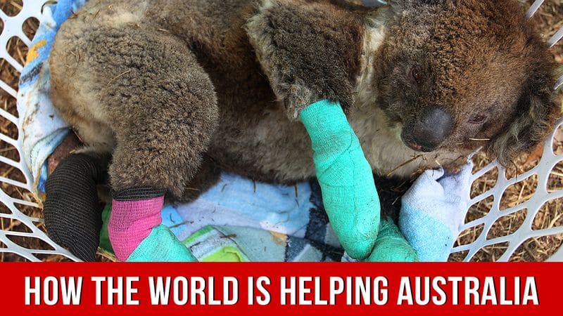 How the world is helping Australia