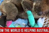 How the world is helping Australia