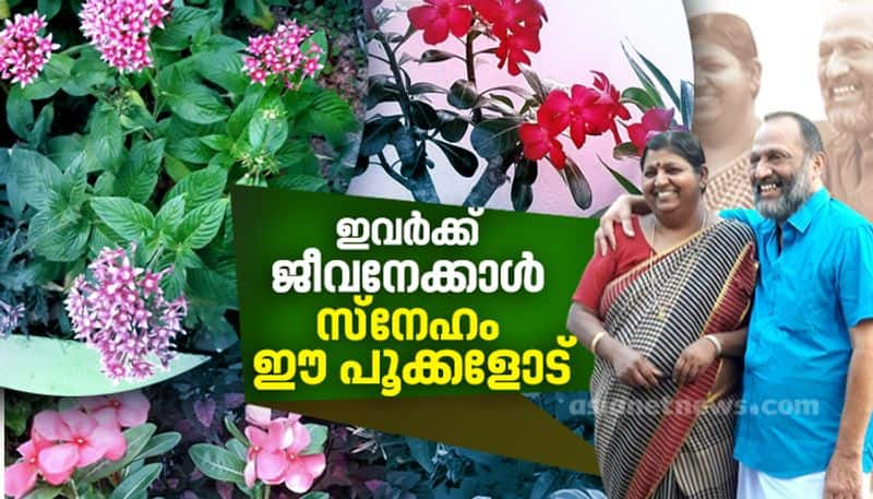 susheela bai about her garden