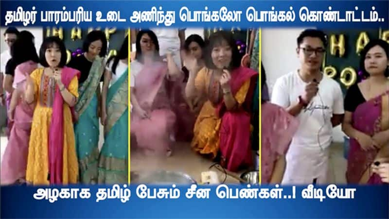 Chinese Celebrated Pongal Festival with traditional dress video