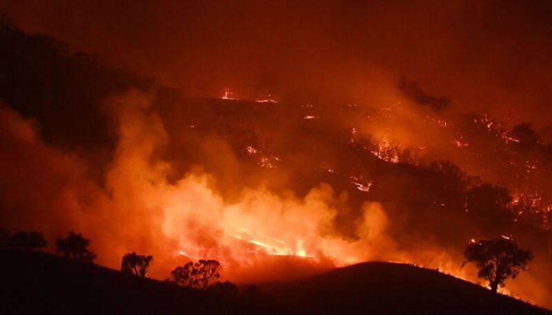 Again Bushfire in Kappatagudda Forest in Gadag District