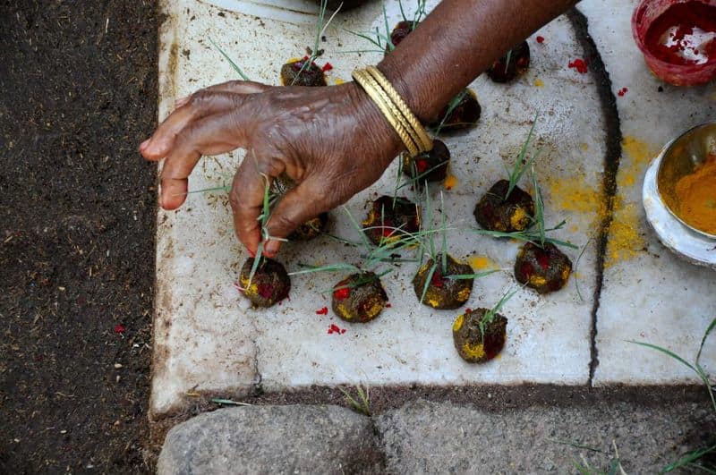 chitralipi 2020: sankranti celebrations