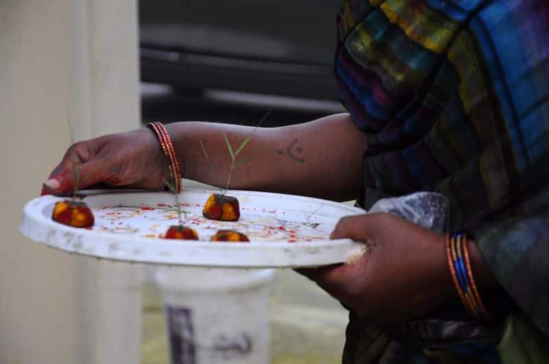 chitralipi 2020: sankranti celebrations