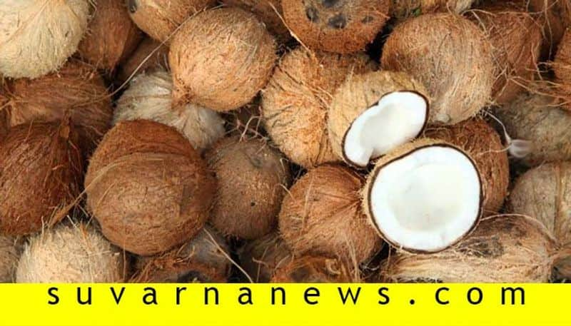 Coconut Price Hike in Karwar Market