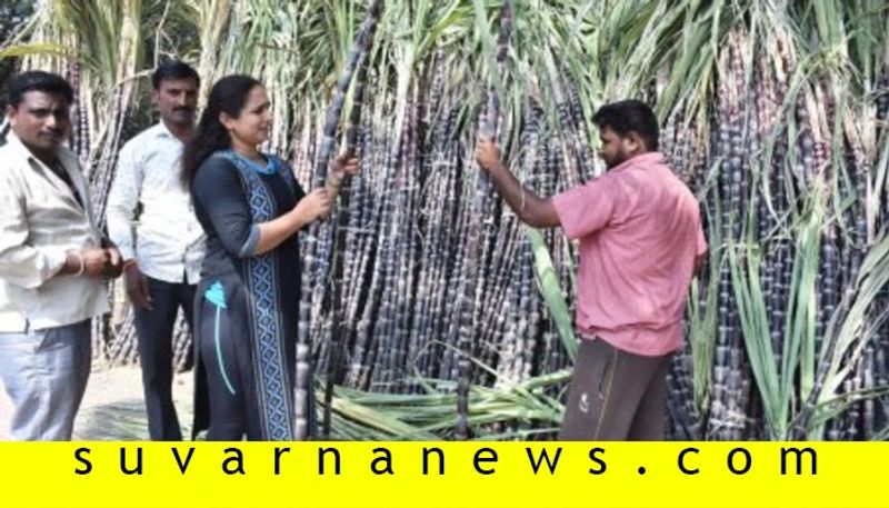 sankranthi festival purchasing in mysore