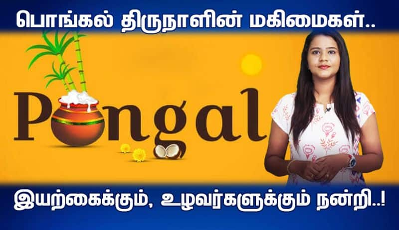 pongal festival wishes