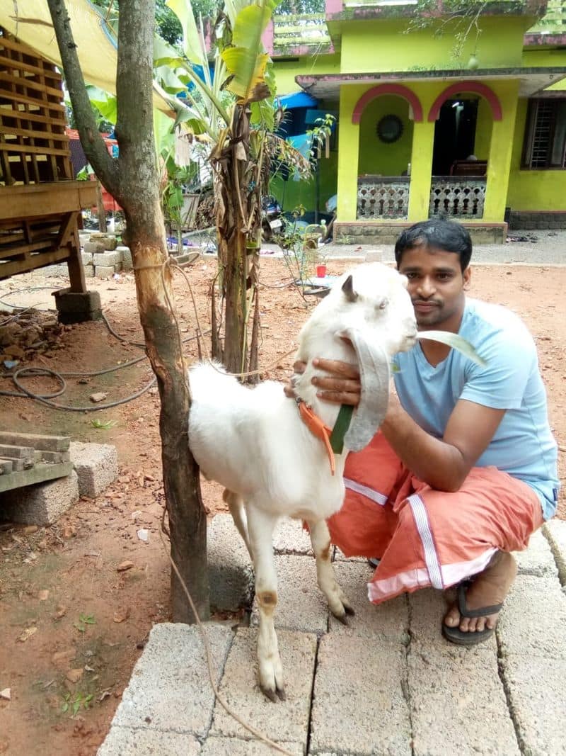 Learn the techniques of organized goat farming from Rajiv