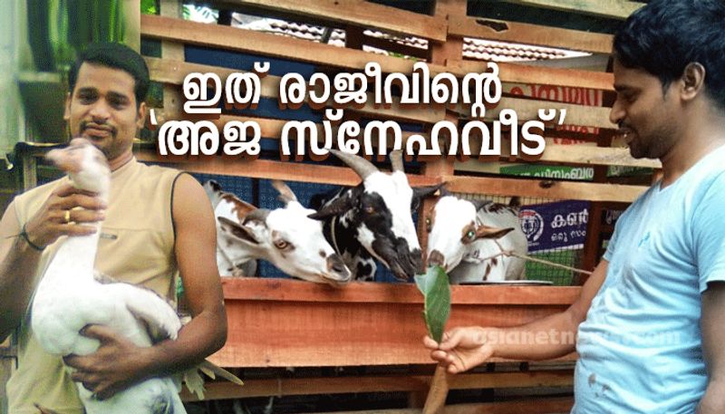 Learn the techniques of organized goat farming from Rajiv