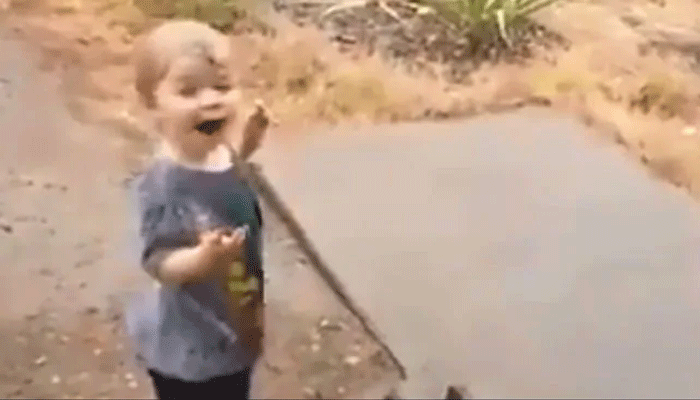 In Fire-Stricken Australia, Toddler Dances On Seeing Rain For First Time