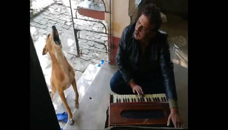 dog sing teri meri  with owner social media says waaw