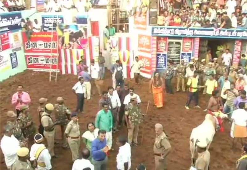 Alanganallur Jallikattu  started