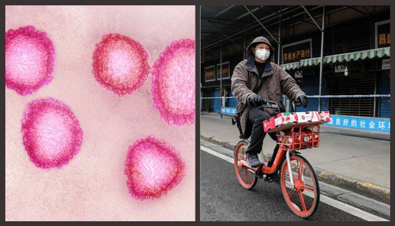 China's Coronavirus spreads to six cities in four countries; South Korea reports first case