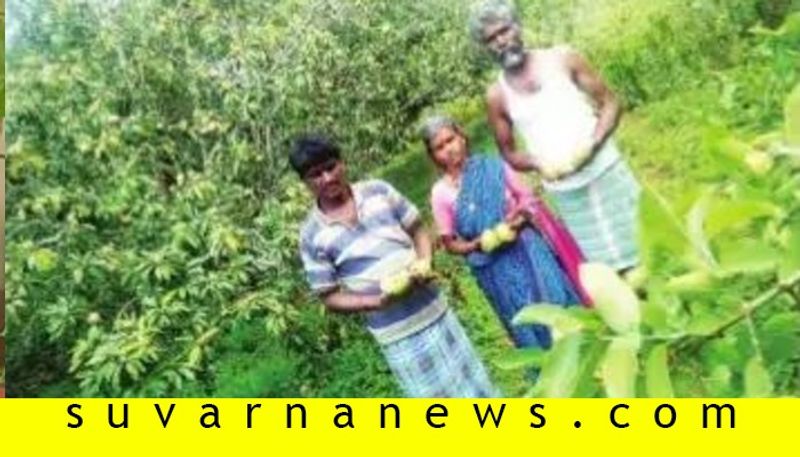 story of alcoholic youth who changed as a successful farmer in chamarajnagar