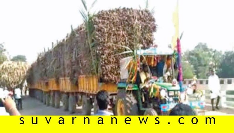 Driver Pulls 10  Trailers Of Sugarcane In Single Engine Tractor