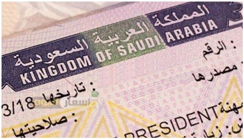 Saudi Arabia makes profession test mandatory for approving certain employment visas anr