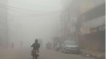 Heavy Fog Leaves Vijayapura People Excited grg