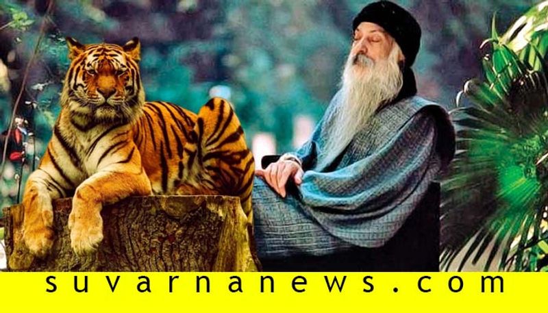 Indian Godman Osho tells a story about a tiger