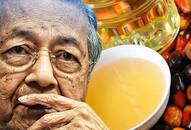 Mayhem in Malaysia: PM Mahathir Mohamad confesses 'they are too small to take retaliatory action' over India's palm oil boycott