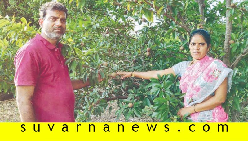 Ramadruga farmer easy plan for Tamarind and lemon plantation