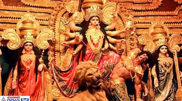 Monthly Durga Ashtami is on February 2, worship Maa Durga in order to bring happiness and prosperity to your home