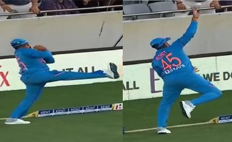 India vs Newzealand 1st T20I: Rohit Sharma shows brilliant awareness at boundary rope to dismiss Martin Guptill, watch video